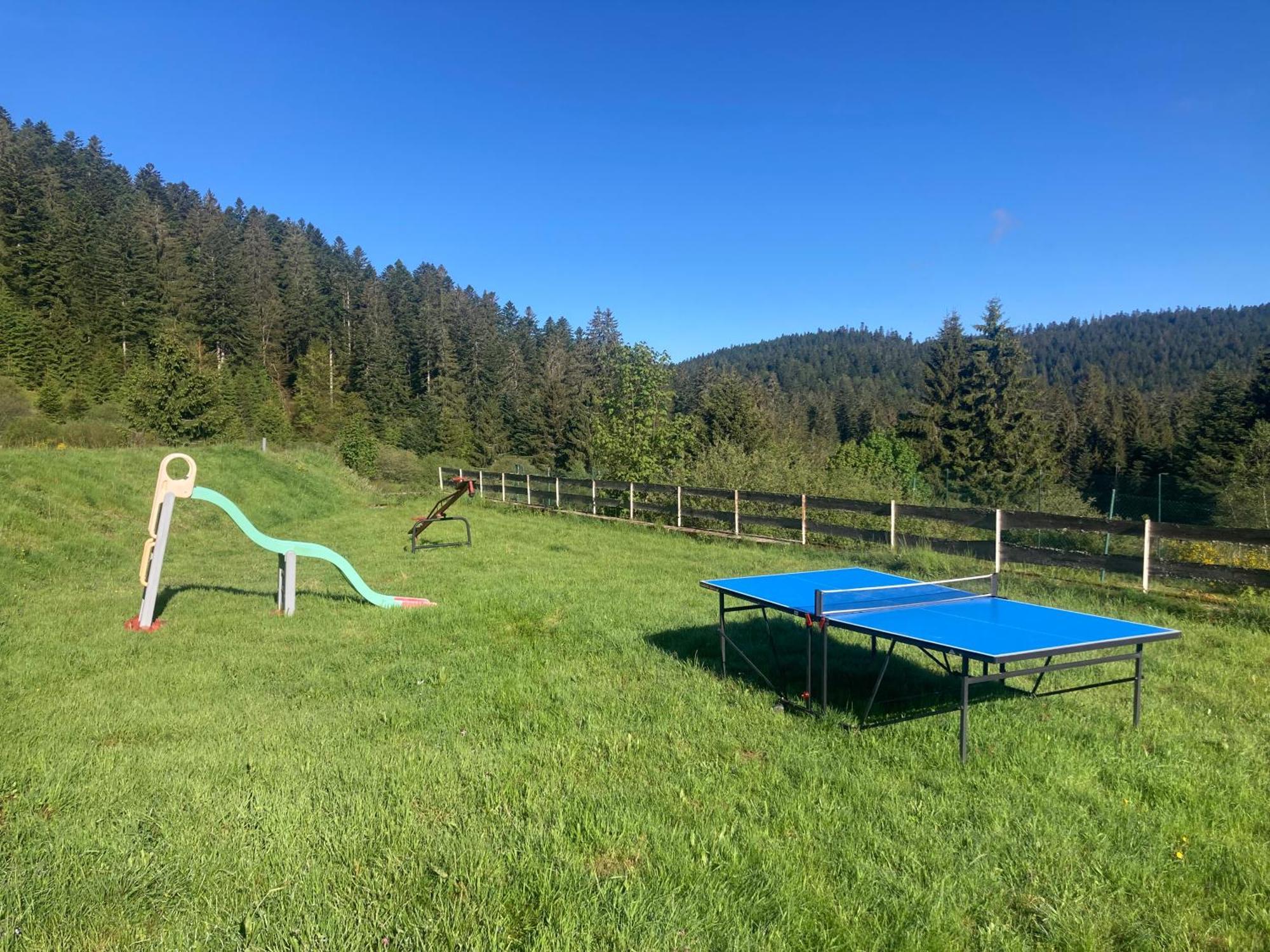Le Perchoir Du Grand Valtin - Gite 5 Personnes - Altitude 830 Ban-sur-Meurthe-Clefcy المظهر الخارجي الصورة