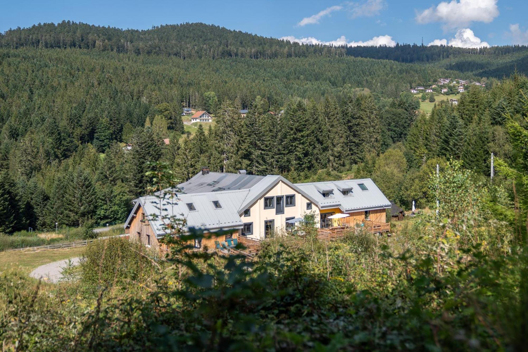 Le Perchoir Du Grand Valtin - Gite 5 Personnes - Altitude 830 Ban-sur-Meurthe-Clefcy المظهر الخارجي الصورة